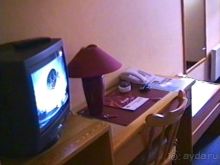 Париж-Вавр на чемпионат мира по дрессировке служебных собак