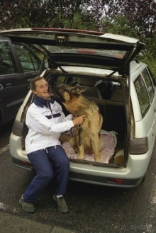 Париж-Вавр на чемпионат мира по дрессировке служебных собак