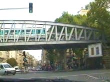 Париж-Вавр на чемпионат мира по дрессировке служебных собак