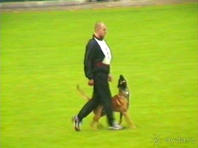 Париж-Вавр на чемпионат мира по дрессировке служебных собак