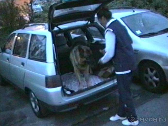 Париж-Вавр на чемпионат мира по дрессировке служебных собак