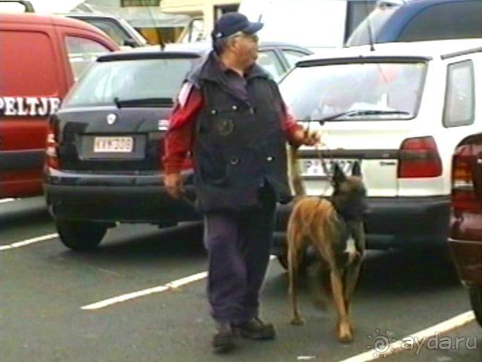 Париж-Вавр на чемпионат мира по дрессировке служебных собак