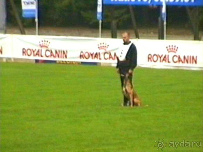 Париж-Вавр на чемпионат мира по дрессировке служебных собак