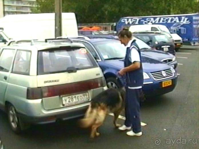 Париж-Вавр на чемпионат мира по дрессировке служебных собак