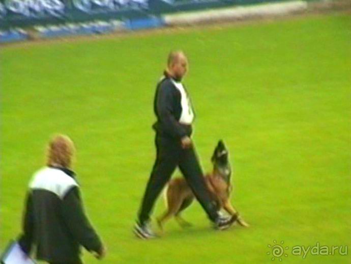 Париж-Вавр на чемпионат мира по дрессировке служебных собак
