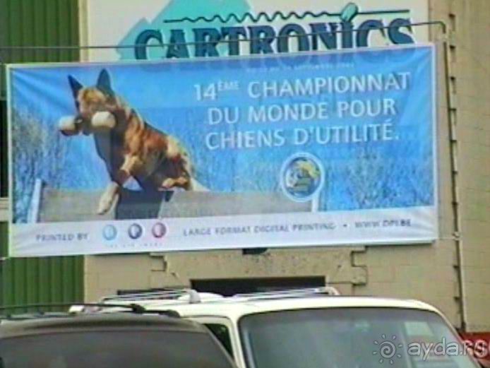 Париж-Вавр на чемпионат мира по дрессировке служебных собак