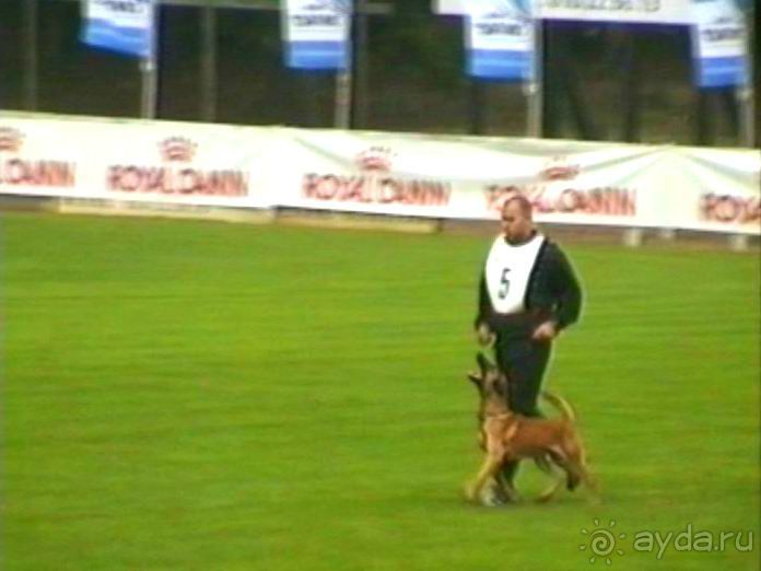 Париж-Вавр на чемпионат мира по дрессировке служебных собак