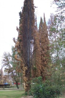 Греция часть 10: Олимпийские мифы