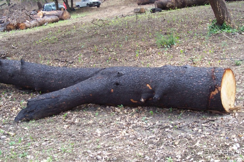 Греция часть 10: Олимпийские мифы