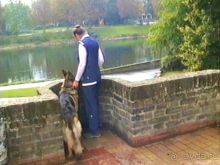 Альбом отзыва "Впервые в Старом городе Ульма"