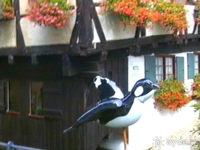 Впервые в Старом городе Ульма