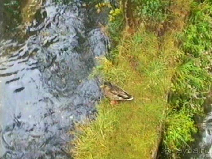 Впервые в Старом городе Ульма