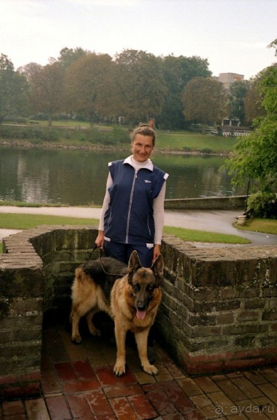 Впервые в Старом городе Ульма Впервые в Старом городе Ульма