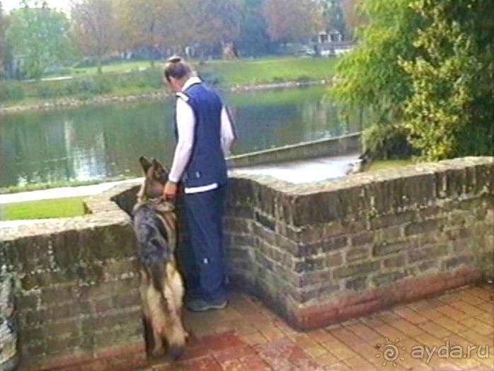Впервые в Старом городе Ульма