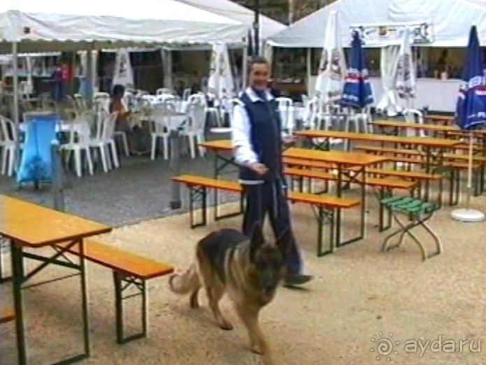 Впервые в Старом городе Ульма