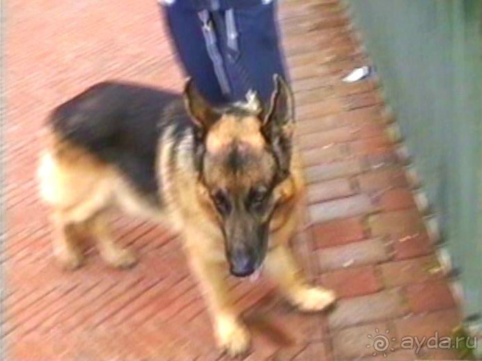 Впервые в Старом городе Ульма