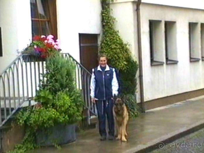 Впервые в Старом городе Ульма