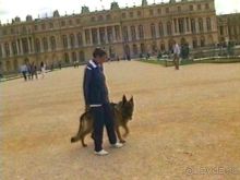 Альбом отзыва "Третий день в Париже. Экскурсия в Версаль."