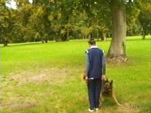 Альбом отзыва "Третий день в Париже. Экскурсия в Версаль."