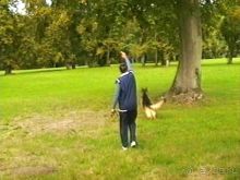 Альбом отзыва "Третий день в Париже. Экскурсия в Версаль."