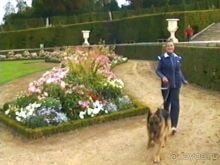 Альбом отзыва "Третий день в Париже. Экскурсия в Версаль."