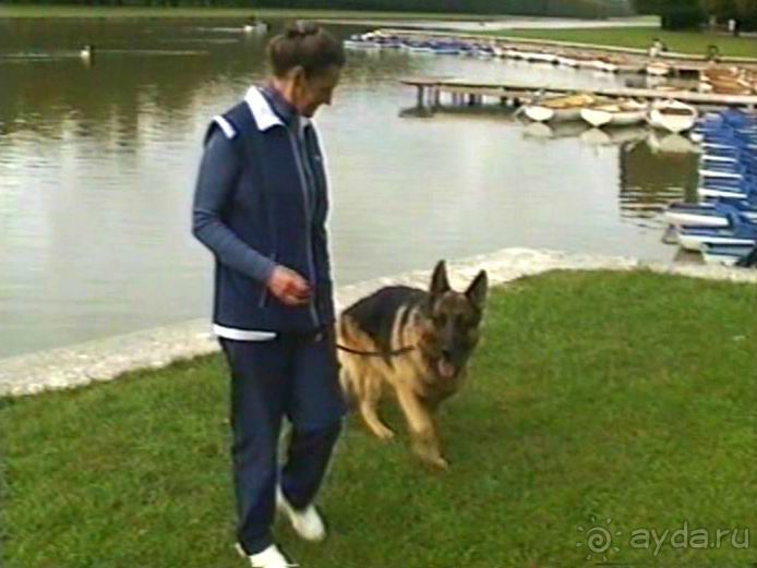 Альбом отзыва "Третий день в Париже. Экскурсия в Версаль."