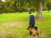 Альбом отзыва "Третий день в Париже. Экскурсия в Версаль."