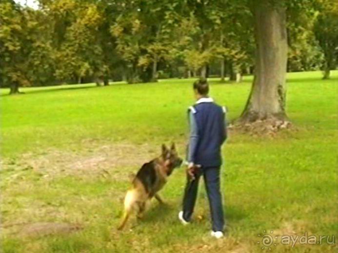 Альбом отзыва "Третий день в Париже. Экскурсия в Версаль."