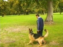 Альбом отзыва "Третий день в Париже. Экскурсия в Версаль."