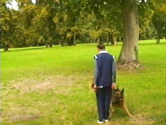 Третий день в Париже. Экскурсия в Версаль.