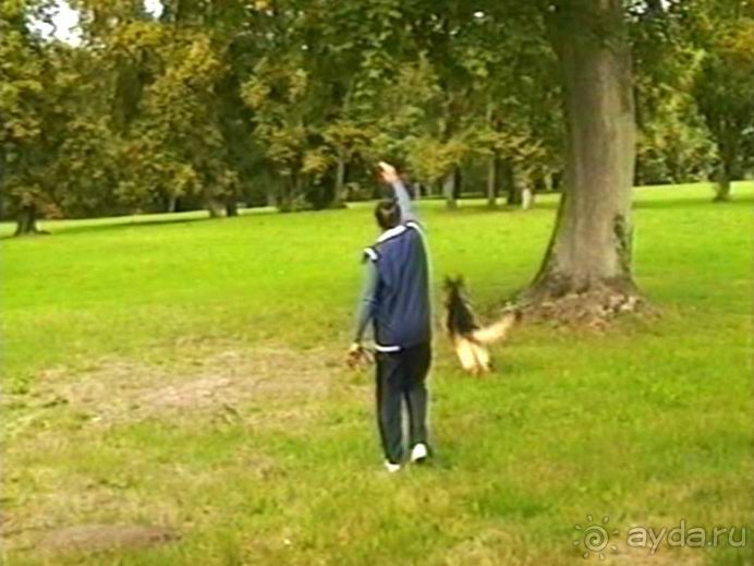 Третий день в Париже. Экскурсия в Версаль.