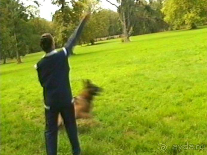 Третий день в Париже. Экскурсия в Версаль.