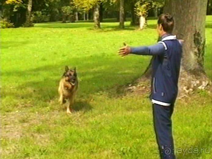 Третий день в Париже. Экскурсия в Версаль.