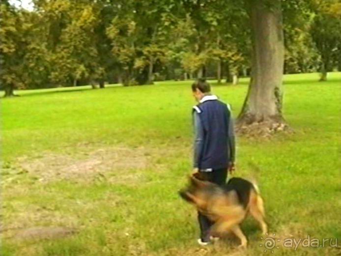 Третий день в Париже. Экскурсия в Версаль.