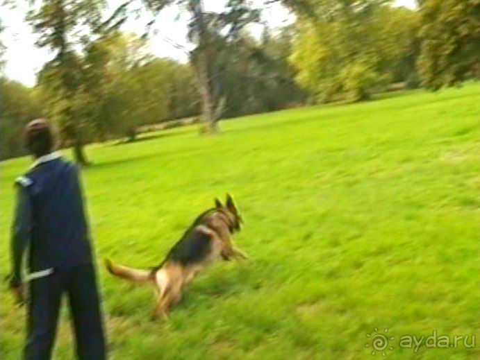 Третий день в Париже. Экскурсия в Версаль.