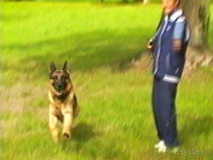 Третий день в Париже. Экскурсия в Версаль.