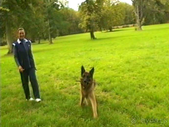 Третий день в Париже. Экскурсия в Версаль.