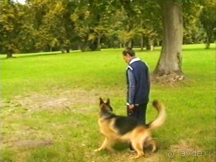 Третий день в Париже. Экскурсия в Версаль.