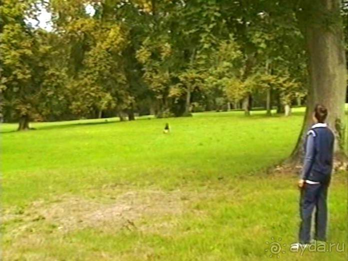 Третий день в Париже. Экскурсия в Версаль.