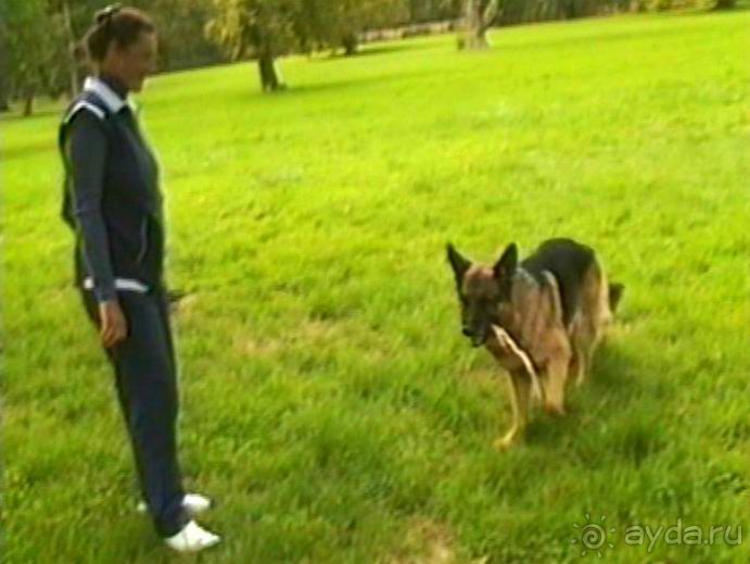 Третий день в Париже. Экскурсия в Версаль.