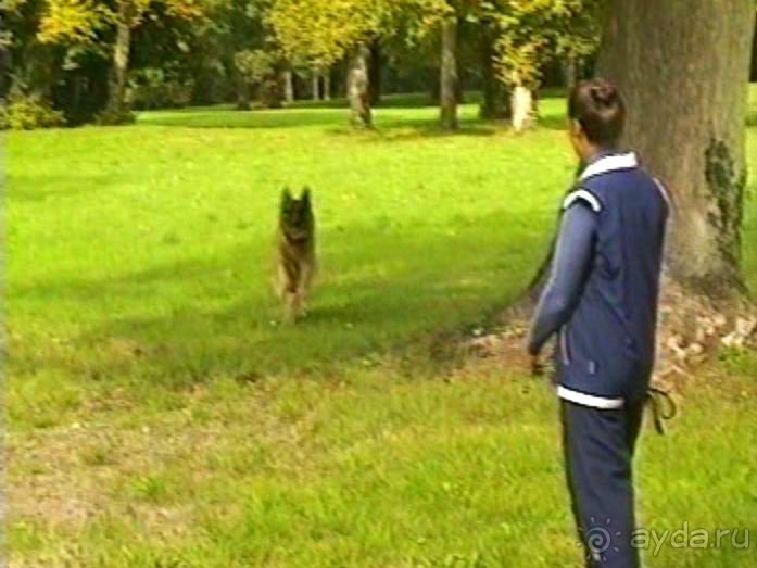 Третий день в Париже. Экскурсия в Версаль.