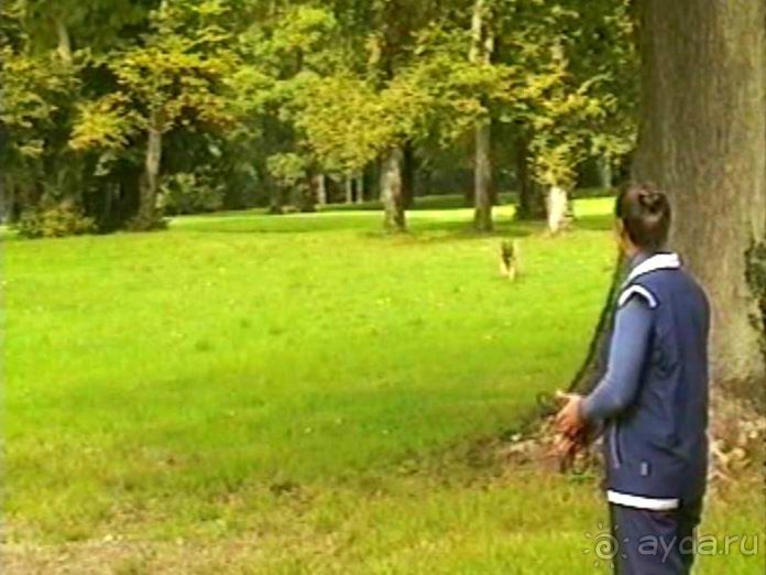 Третий день в Париже. Экскурсия в Версаль.