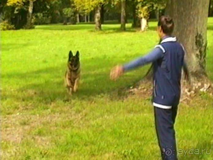 Третий день в Париже. Экскурсия в Версаль.