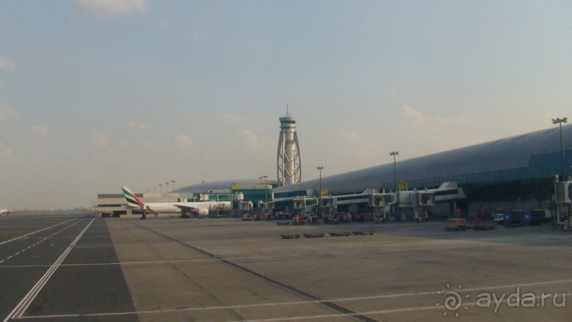 Эмираты в декабре: часть 1. Москва-Дубай