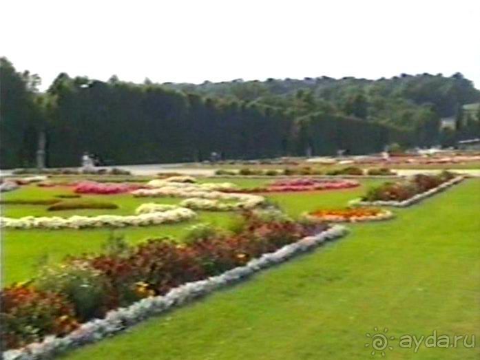 Эйхграбен, Вена и снова Будапешт