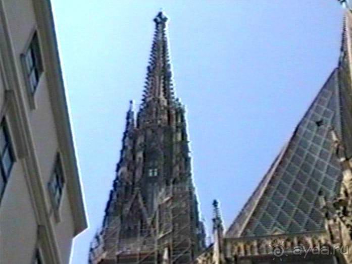 Эйхграбен, Вена и снова Будапешт