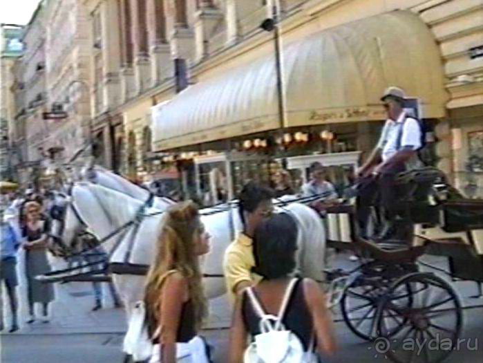 Эйхграбен, Вена и снова Будапешт