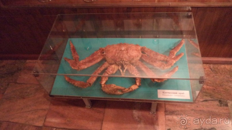 Петропавловск-Камчатский: Камчатский краеведческий музей