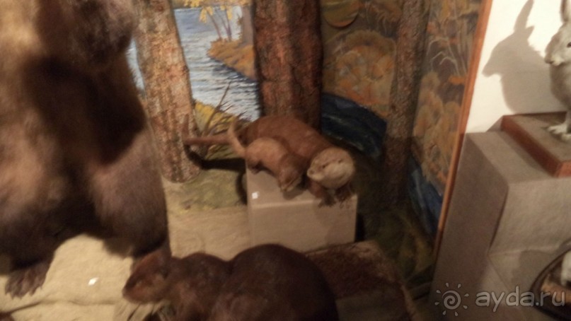 Петропавловск-Камчатский: Камчатский краеведческий музей