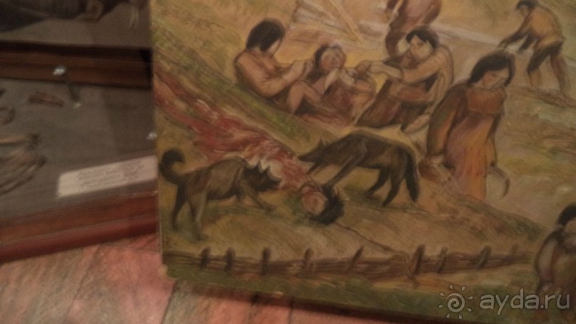 Петропавловск-Камчатский: Камчатский краеведческий музей